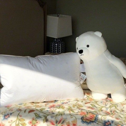 OBB鹅绒枕